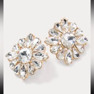 Lilly pulitzer Spicy Socialite Stif earring